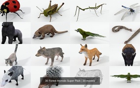 30组森林昆虫野生动物模型合集3DS MAYA OBJ FBX MTL 含材质 含贴图