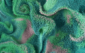 C4D教程  C4D使用X