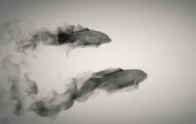 C4D教程  C4D中国水墨鱼动画解析 水墨粒子动画中文视频教程