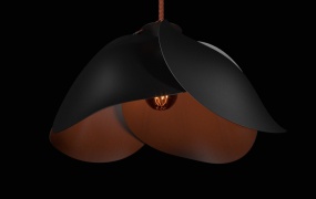 C4D模型  创意花瓣吊灯C4D模型 Celing lamp 含贴图 含材质