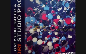 灰猩猩hdr预设:GreyscaleGorilla – HDRI Studio Pack v1.9 For Cinema 4D