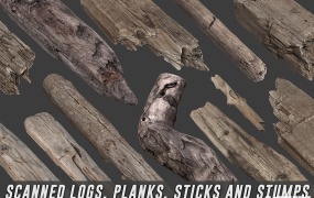 20个树木朽木桩3D模型 Cubebrush – Scanned Logs Planks Sticks and Stumps