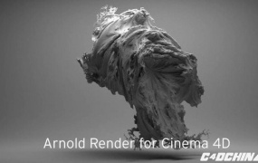 C4D阿诺德渲染器 SolidAngle C4DtoA 2.4.4.1 CINEMA 4D R19-R20 Win替换破解