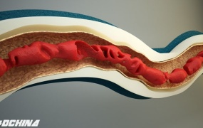 C4D物体材质噪波变形动画插件 CodeVonc Proc3durale V2.0.2 Cinema 4D R17 Win