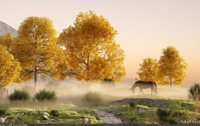 C4D园林场景岩石风景植物生成插件Laubwerk SurfaceSPREAD v1.0.44 Cinema 4D R17 MUS3