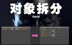 C4D按材质拆分模型插件 Selection to Object Split