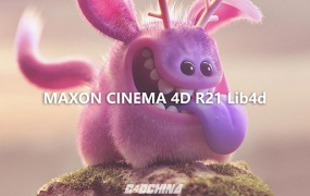 CINEMA 4D R21 Lib4d 官方全套预设库