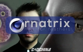 C4D头发毛发羽毛模拟插件 Ornatrix v1.0.0.21988 for Cinema 4D R19-R21 Win破解版
