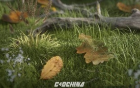 C4D Octane渲染器叶子材质预设 Gumroad – Leaves Shaders Pack #1 for C4D