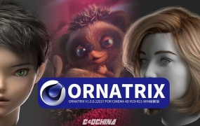 C4D头发毛发羽毛模拟插件中英版本,Ornatrix v1.0.0.22027 for Cinema 4D R19-R21 Win破解版