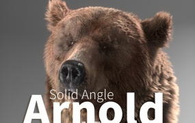 C4D阿诺德渲染器 SolidAngle C4DtoA 3.2.0