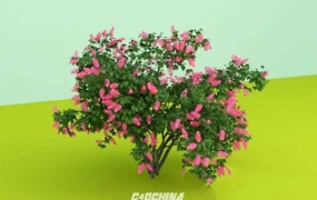 C4D模型 植物模型-粉红色的花园植物3D模型 C4D模型 含贴图 含材质