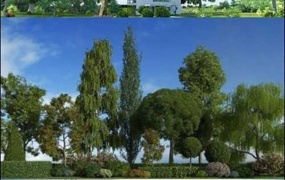 C4D模型 植物模型-C4D的植物和光照库 C4D模型 含贴图 含材质