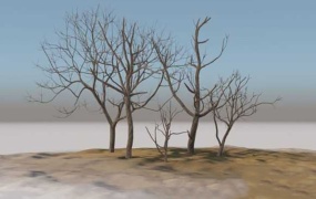 C4D模型 植物模型-老枯树3D模型 C4D模型 含贴图 含材质