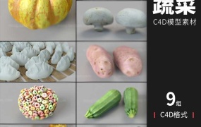 C4D模型 9组C4D食物模型素材饺子木薯生姜南瓜麦片甜麦圈蘑菇西葫芦C4D模型 含贴图