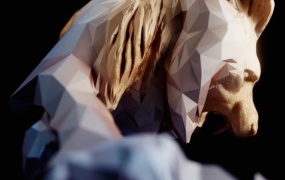 C4D减面低多边形风格插件 Reducer v1.1.0 For Cinema 4D R20-R25