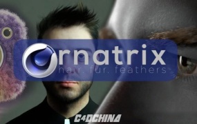 C4D头发毛发羽毛模拟插件 Ephere Ornatrix v2.2.9.29361 for Cinema 4D R19-R25 Win破解版
