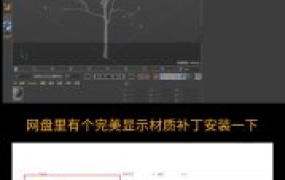 Forester植物插件for c4d花草地生成附教程R25/24/23/21 win MAC