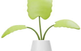blender卡通室内植物绿植盆栽C4D模型fbx文件3D素材obj附png图片