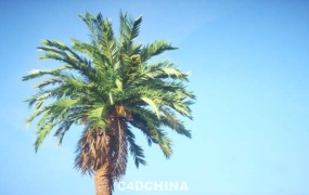 植物树木生成插件 Laubwerk Plants Kit 1-7 v1.0.50 For C4D/MAX/Maya/SketchUp Win/Mac