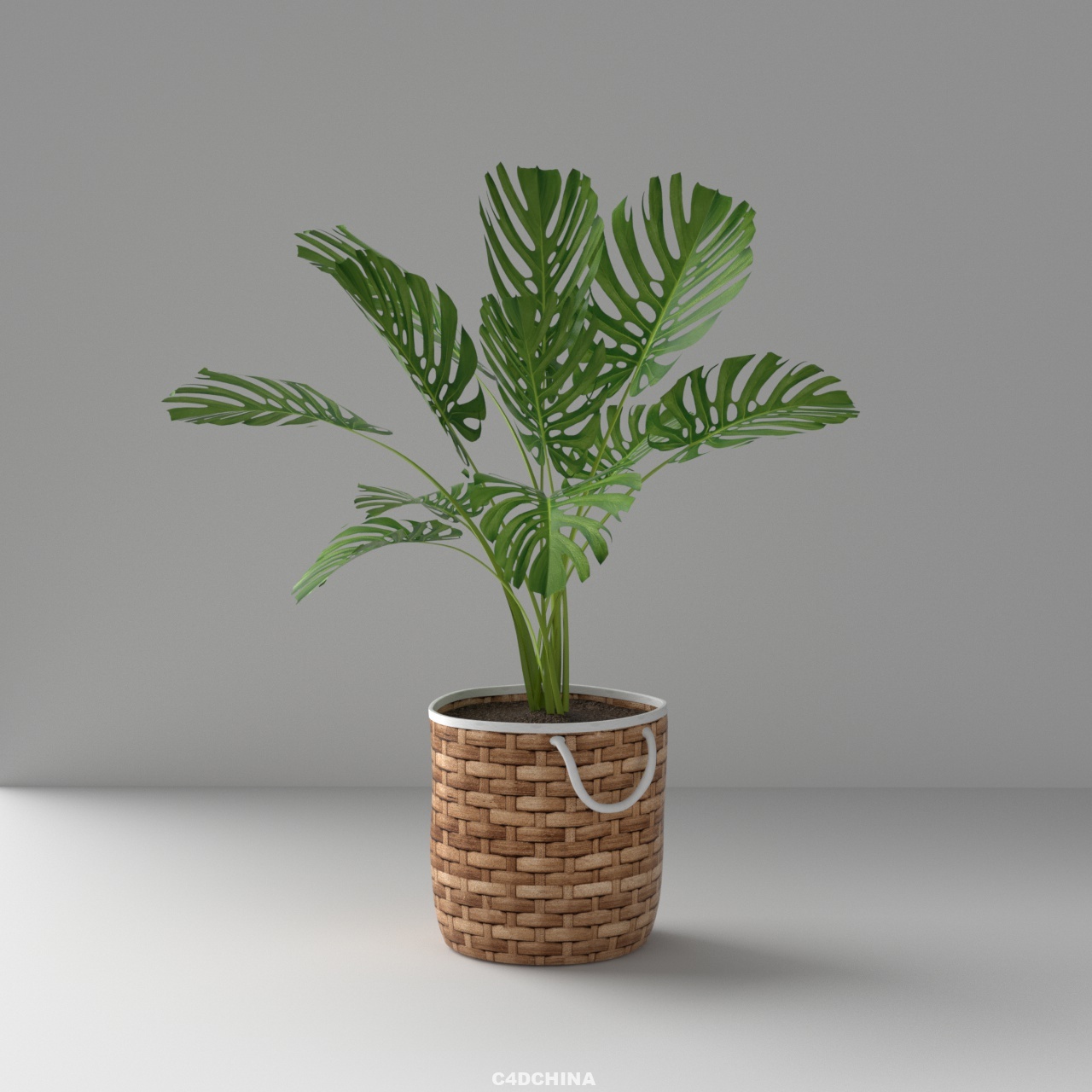 C4D obj fbx 室内植物盆栽模型oc渲染带材质贴图3d花卉装饰盆栽