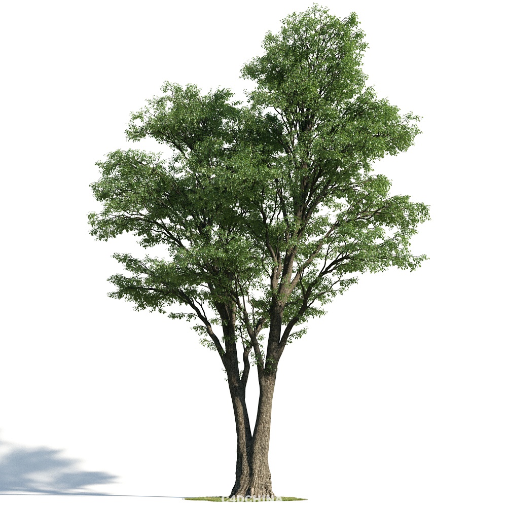 3d max植物 树 杂草 树木 花草 灌木 花模型设计素材带贴图