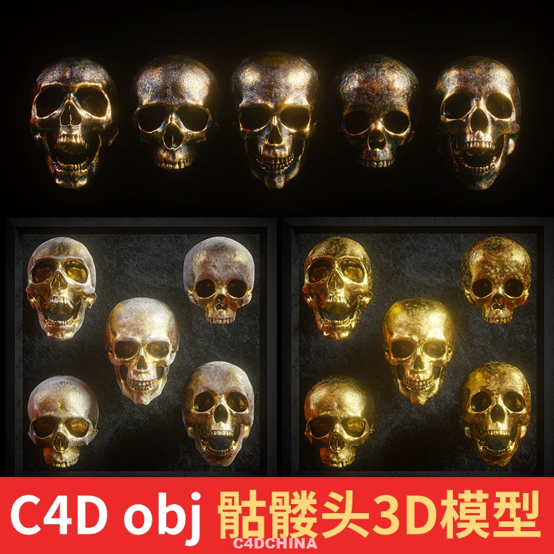 C4D骷髅头3D模型obj格式1个C4D oc渲染 4个obj白模
