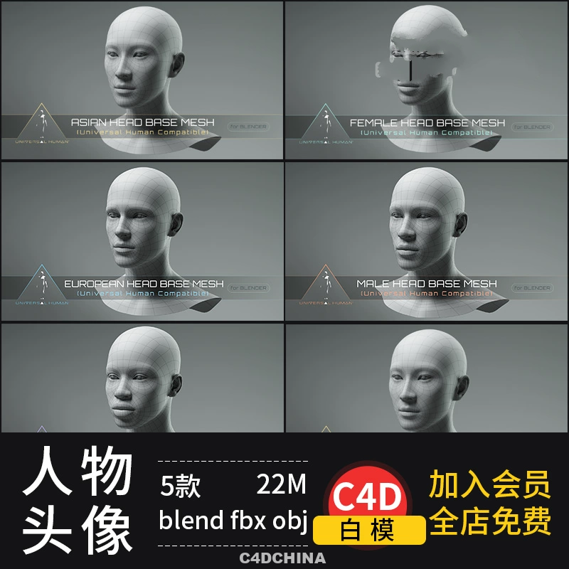 C4D/blender/max/maya人物头像男女亚洲人物模型素材 白模