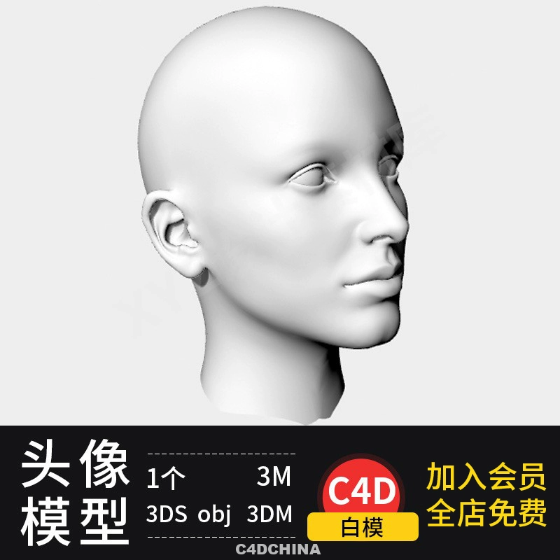 C4D女人头像人体头部模型建模设计素材犀牛rhino max 3DS obj格式